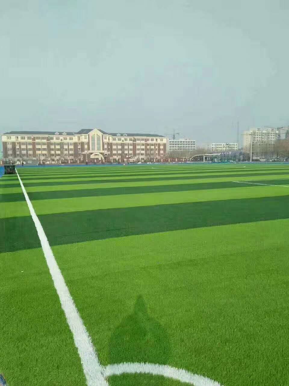 濮阳市预制型跑道仿真草坪 - 一站式服务